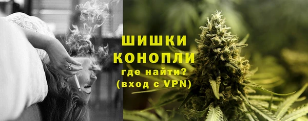 МДПВ Гусев