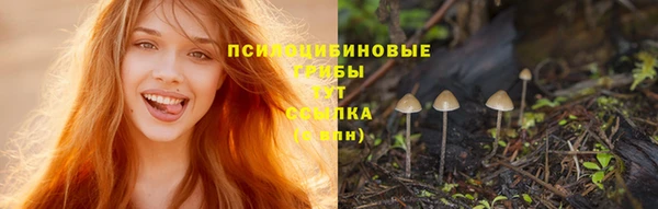 ПСИЛОЦИБИНОВЫЕ ГРИБЫ Гусиноозёрск