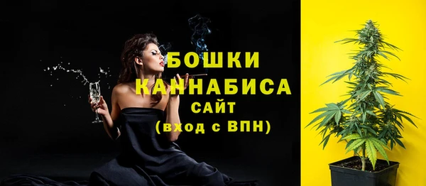 ПСИЛОЦИБИНОВЫЕ ГРИБЫ Гусиноозёрск