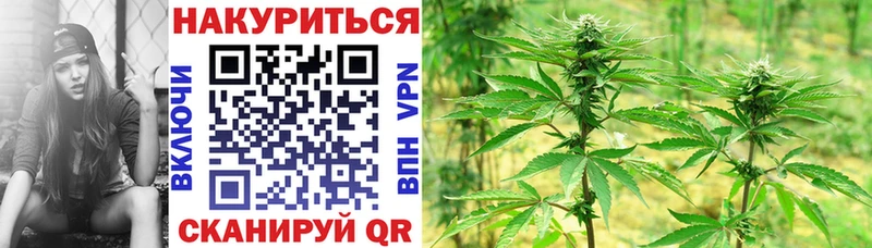 Конопля MAZAR  Няндома 